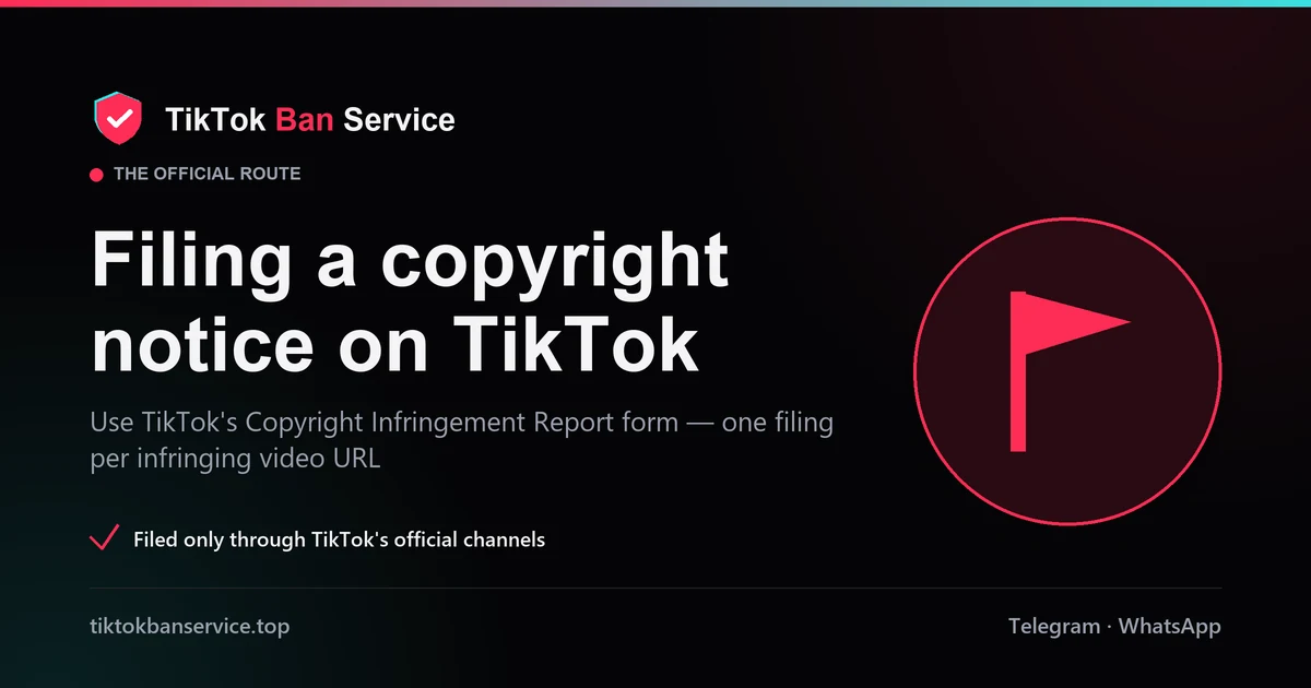 Filing a copyright notice on TikTok using the official Copyright Infringement Report form, one filing per infringing video URL