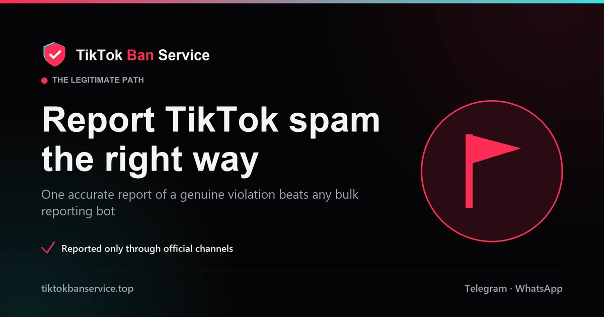 Report a TikTok spam account the right way: one accurate report of a genuine violation through official channels
